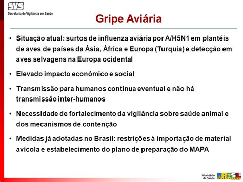 Plano Brasileiro De Prepara O Para Uma Pandemia De Influenza Ppt