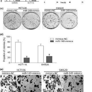 Ectopic Expression Of MiR 149 Inhibits CRC Cell Proliferation And