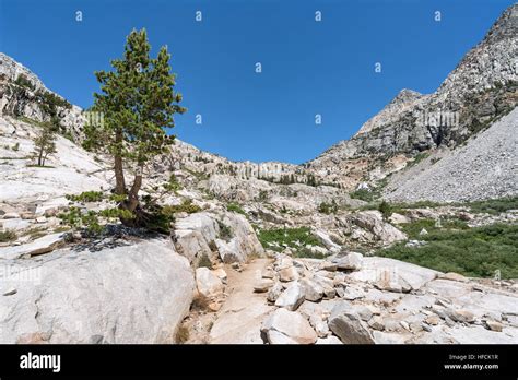 On John Muir Trail Kings Canyon National Park California United