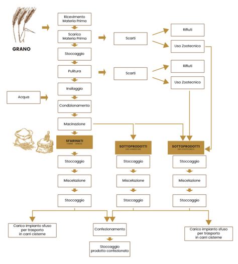 Il Processo Produttivo Italmopa