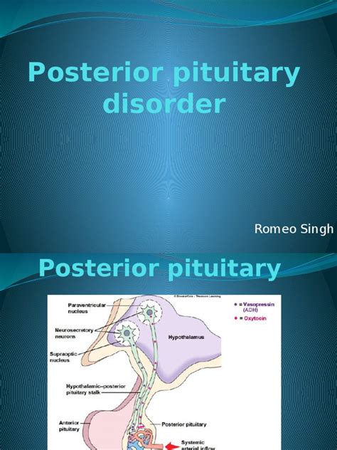 Posterior Pituitary Disorder Romeo | PDF | Endocrinology | Animal Anatomy