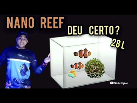 Como montar um Nano Reef Dinho S Reef Aquário marinho pequeno de 28L 1