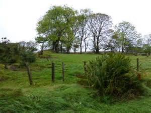 Clump Of Trees Faccary Kenneth Allen Cc By Sa 2 0 Geograph Ireland