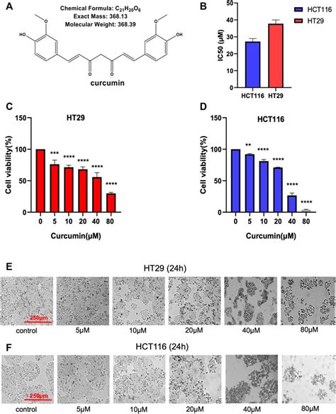 Frontiers Bioinformatics Analysis And Identification Of Upregulated