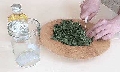 Масло березы: свойства, применение, приготовление