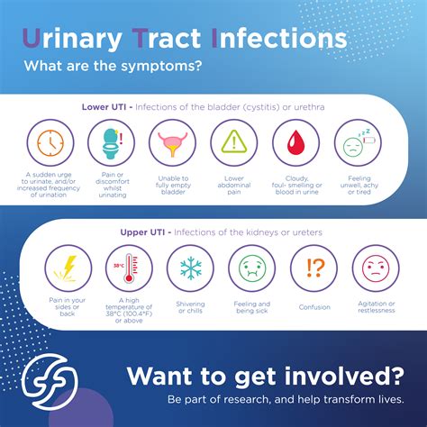 Infections des voies urinaires Symptômes causes et prévention