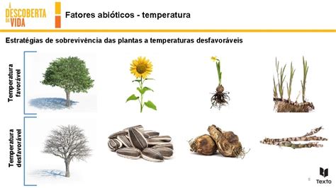 Interaes seres vivos ambiente Fatores abiticos Estrutura dos
