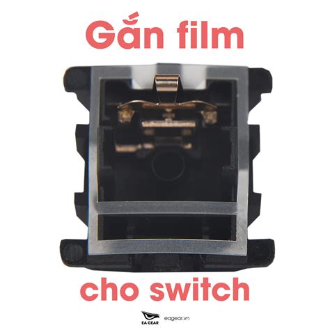 Gắn film switch - EA Gear - Bàn phím cơ và gaming gears