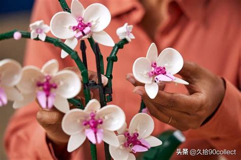 Whatlegos Demogorgon Head Turns Into An Orchid Inews