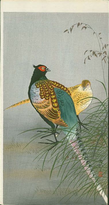 Japanese Pheasants Japanese Vintage Art Japanese Woodblock Printing