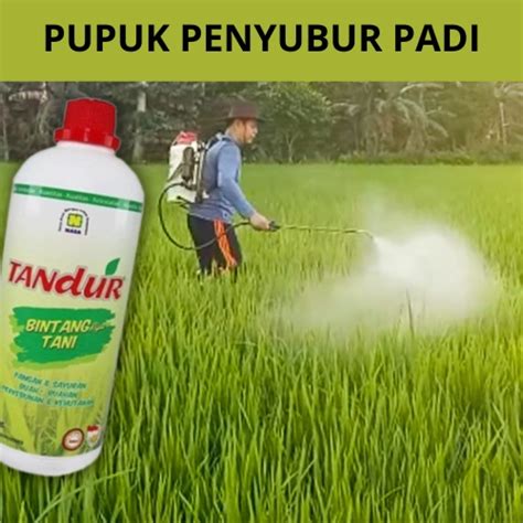 Jual Pupuk Organik Cair Untuk Tanaman Padi Pupuk Organik Cair Buah