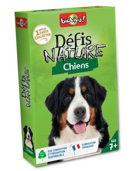 Jeu D Fis Nature Chiens Jeux De Soci T Enfants Ans