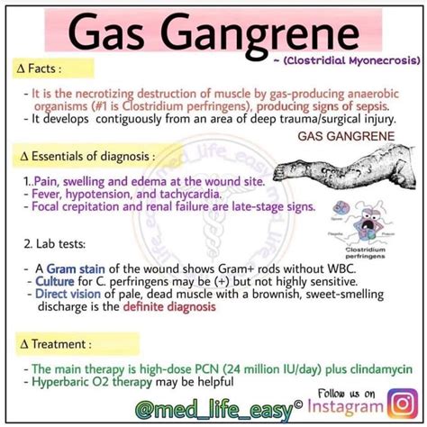 Gas Gangrene Medizzy