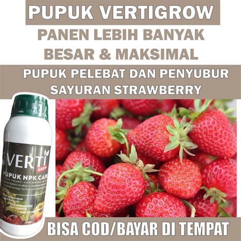 Jual Verti Grow Pupuk Npk Cair Terbaik Melebatkan Strawberry Buah