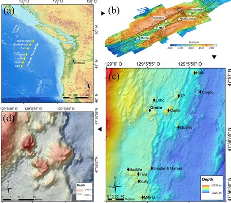 BG Biodiversity And Trophic Ecology Of Hydrothermal Vent Fauna