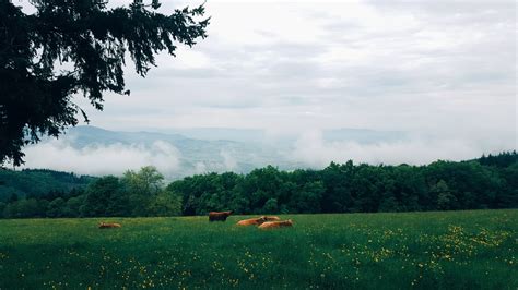 Free Images Landscape Tree Nature Forest Horizon Mountain Cloud