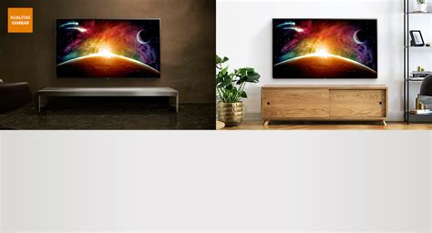 TH 55FX600G TV LED Panasonic Indonesia