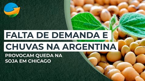 Falta De Demanda E Chuvas Na Argentina Provocam Queda Na Soja Em