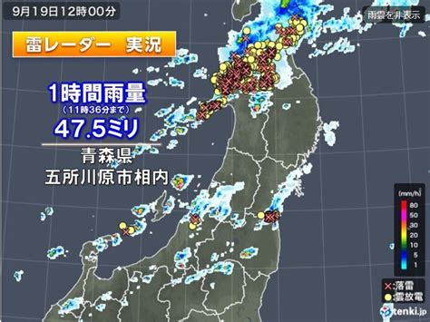 東北北部や北海道に活発な雷雲 落雷も多数発生 激しい雨も 20日明け方まで警戒（2023年9月19日）｜biglobeニュース