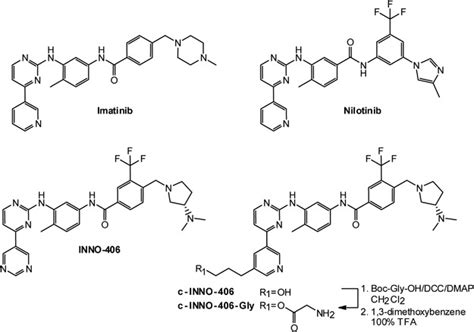 Chemical Structures Of Imatinib Nilotinib Inno 406 And The Coupleable Download Scientific