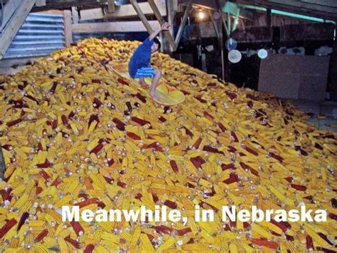 11 Funniest Memes About Nebraska Nebraska Funny Photos Funny Memes