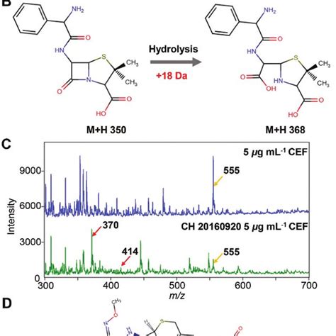 A Mass Spectra Of Amp 5 μg Ml −1 And Hydrolysed Amp 5 μg Ml −1