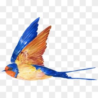 Pintado A Mano De Un Free Flying Bird Png Transparente Blue Birds