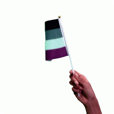 Halive2022 Pride Flags Sticker Halive2022 Pride Flags Pride