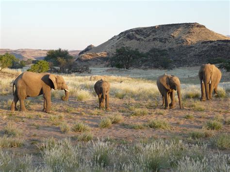 Namibia Luxury Camping Safari | Made in Africa Tours and Safaris