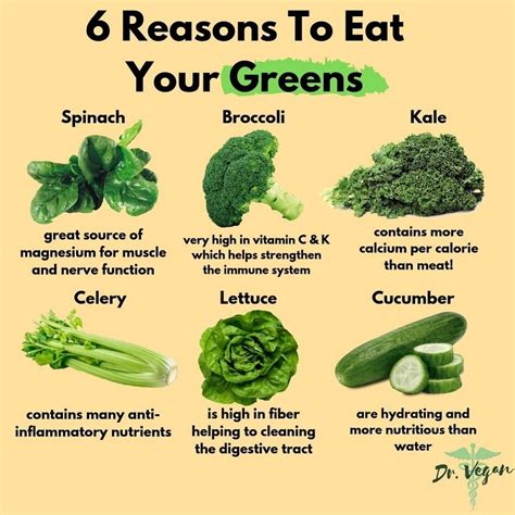 6 Reasons To Eat More Greens ••• Leafy Greens Are Such An Important