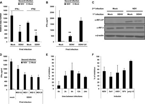 Infection Of Dcs With Denv Reduces Type I Ifn Production After A