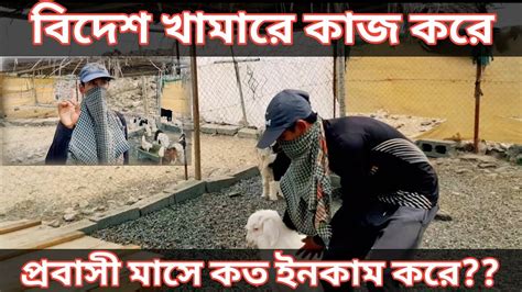 বিদেশে খামারে কাজ করে প্রবাসী মাসে কত ইনকাম করেgulf Job 2023 Youtube