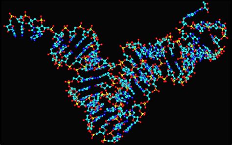 1 Ball And Stick Representation Of The Crystallographic Structure Yeast