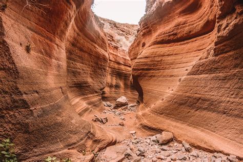 Barranco De Las Vacas Gran Canaria C Mo Llegar Consejos Los