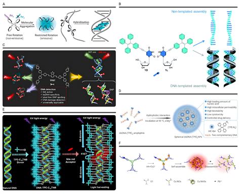 Advances Of Fluorescent Dna Nanostructures In Biomedical Applications