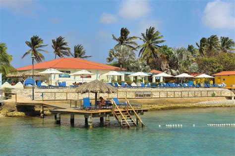 Divi Flamingo Beach Resort Bonaire Tui