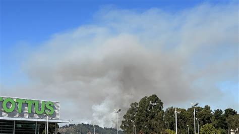 Incendio Forestal En Concón Y Viña Del Mar Se Encuentra Controlado