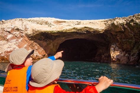 What to See at the Paracas National Reserve in Paracas Peru - Wandering ...