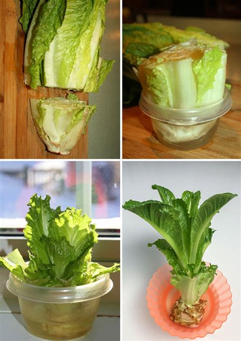 136 Creative Gardening Ideas To Try At Home