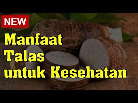 Manfaat Talas Untuk Kesehatan YouTube