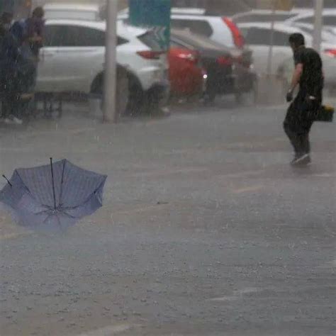 下班快回家！黑龙江多地发布雷雨大风、雷电预警 地区 天气 兴安岭