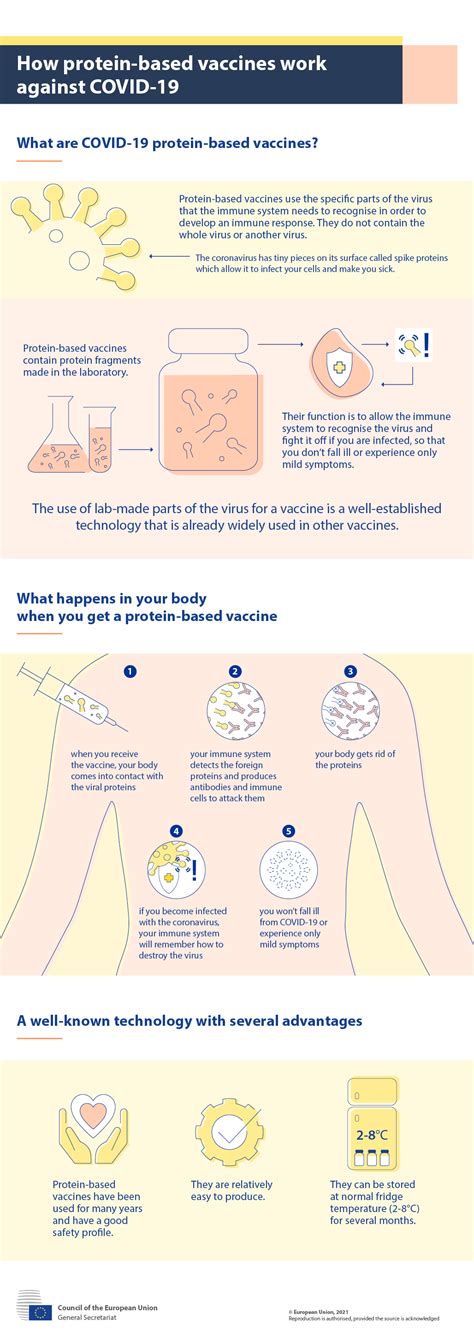 Infographic How Protein Based Vaccines Work Against Covid Cde