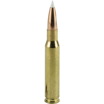 30 06 Springfield 165 Grain AccuBond Trophy Grade 20 Rounds By Nosler