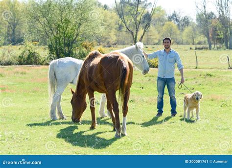 Ranchero Joven Con Caballo Y Perro Imagen De Archivo Imagen De