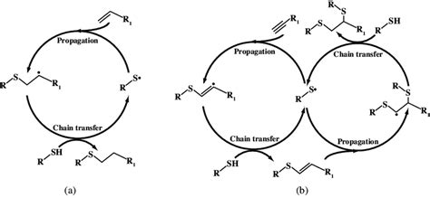 Radical Mediated Step Growth Polymerization Mechanisms Of A Thiol Ene