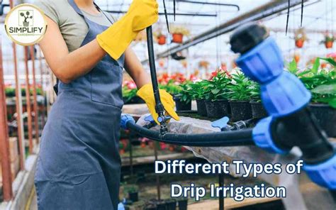 Drip Irrigation. All The Types You May Not Know About - Simplify Gardening