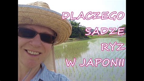 Dlaczego Polka Sadzi Ry W Japonii Japonia Tokio Cud Okinawa Youtube