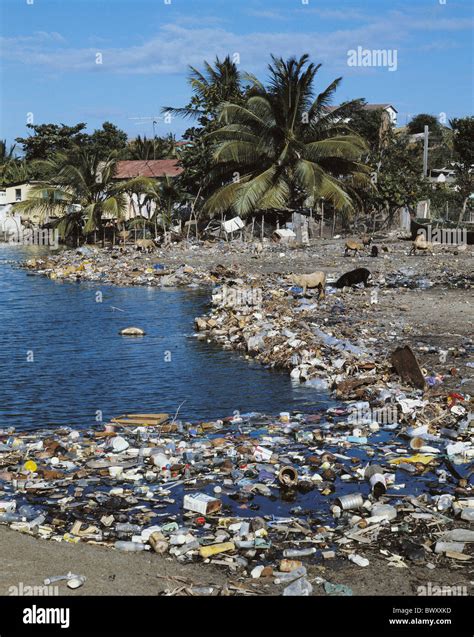 Slums Saint Lucia Caribbean Caribbean Vieux Fort Rubbish Waste Water