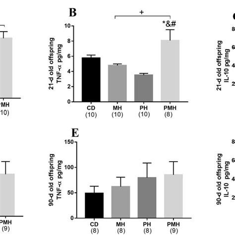 The Effect Of Paternal And Maternal High Fat High Sugar Diet On The