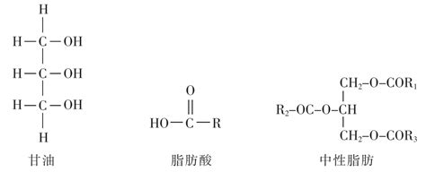 生物大分子 现代生物学导论 挂云帆